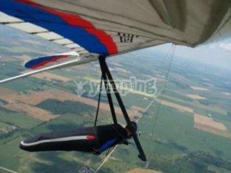 Sobrevolando los campos Sobrevolando los campos